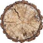 Oak Timber Logs